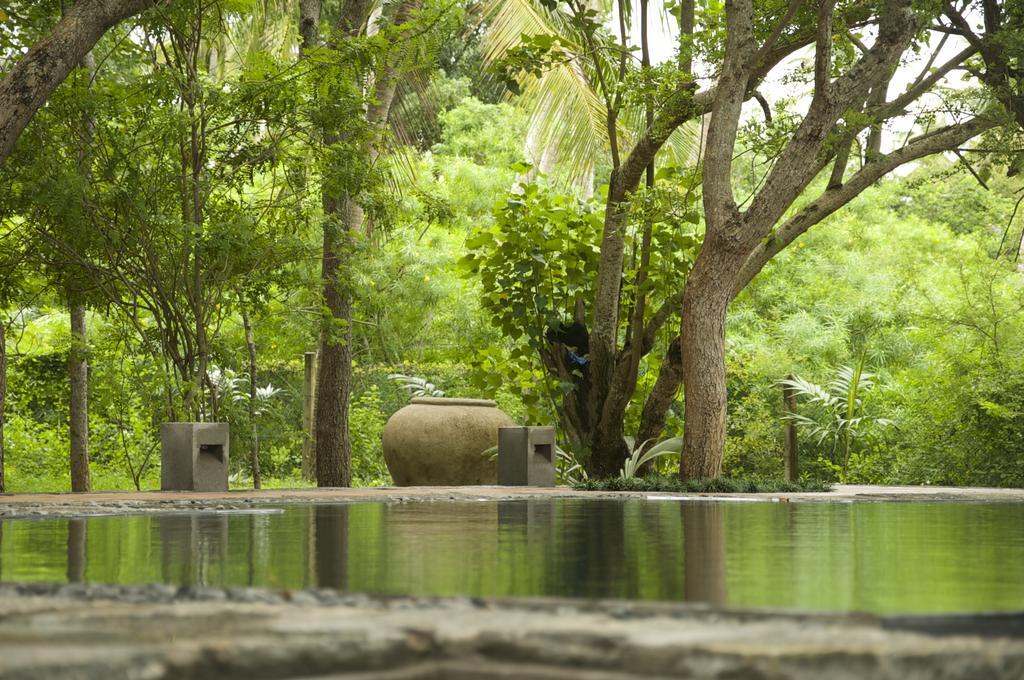 Lagoon House Rekawa Tangalle Kültér fotó