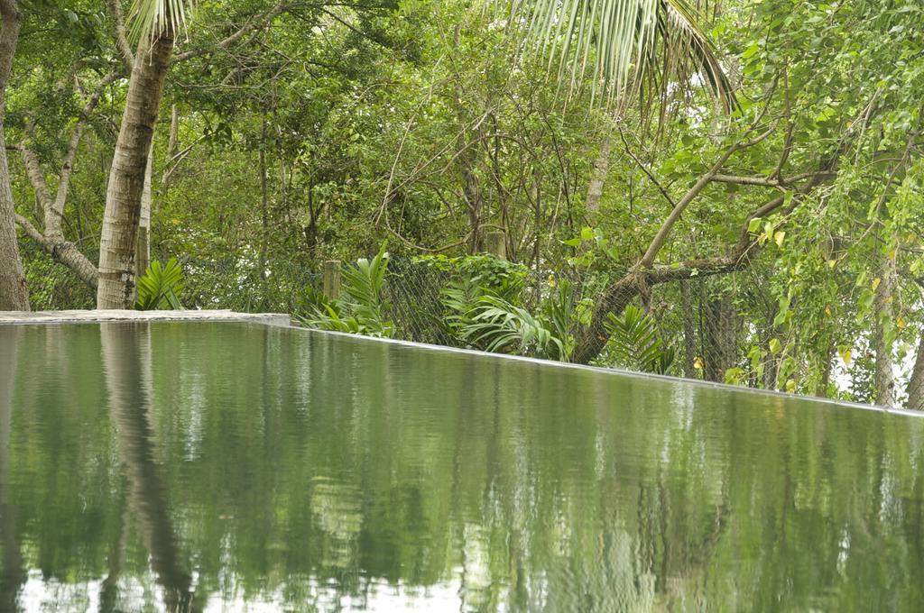 Lagoon House Rekawa Tangalle Kültér fotó